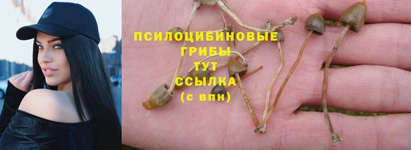 спайс Медвежьегорск
