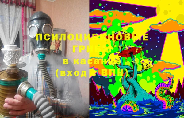 спайс Медвежьегорск