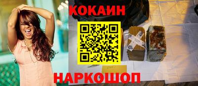 гашик Новозыбков