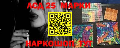 гашик Новозыбков