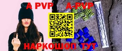 гашик Новозыбков